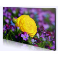 55" Super Narrow Bezel 3.5mm Video Wall